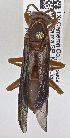  ( - PMAE0736)  @12 [ ] CreativeCommons - Attribution Non-Commercial Share-Alike (2019) Royal Alberta Museum Royal Alberta Museum