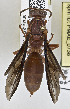  ( - PMAE0737)  @12 [ ] CreativeCommons - Attribution Non-Commercial Share-Alike (2019) Royal Alberta Museum Royal Alberta Museum