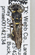  ( - PMAE0745)  @12 [ ] CreativeCommons - Attribution Non-Commercial Share-Alike (2019) Royal Alberta Museum Royal Alberta Museum