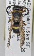  ( - PMAE0752)  @12 [ ] CreativeCommons - Attribution Non-Commercial Share-Alike (2019) Royal Alberta Museum Royal Alberta Museum