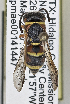  ( - PMAE0755)  @13 [ ] CreativeCommons - Attribution Non-Commercial Share-Alike (2019) Royal Alberta Museum Royal Alberta Museum