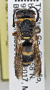  ( - PMAE0756)  @11 [ ] CreativeCommons - Attribution Non-Commercial Share-Alike (2019) Royal Alberta Museum Royal Alberta Museum
