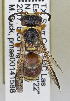  ( - PMAE0757)  @11 [ ] CreativeCommons - Attribution Non-Commercial Share-Alike (2019) Royal Alberta Museum Royal Alberta Museum