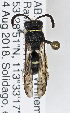  ( - PMAE0794)  @13 [ ] CreativeCommons - Attribution Non-Commercial Share-Alike (2019) Royal Alberta Museum Royal Alberta Museum