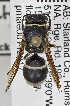  ( - PMAE0806)  @13 [ ] CreativeCommons - Attribution Non-Commercial Share-Alike (2019) Royal Alberta Museum Royal Alberta Museum