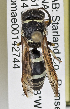  ( - PMAE0807)  @13 [ ] CreativeCommons - Attribution Non-Commercial Share-Alike (2019) Royal Alberta Museum Royal Alberta Museum