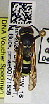  ( - PMAE1014)  @11 [ ] BY-NC-ND (2024) Royal Alberta Museum Royal Alberta Museum