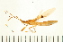  ( - HLC-25250)  @14 [ ] CreativeCommons - Attribution (2008) Unspecified Centre for Biodiversity Genomics