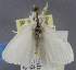  ( - USNM ENT 01201250a)  @11 [ ] Unspecified (default): All Rights Reserved  Unspecified Unspecified