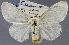  ( - USNM ENT 01201273a)  @11 [ ] Unspecified (default): All Rights Reserved  Unspecified Unspecified