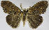  ( - USNM ENT 01373007)  @11 [ ] Unspecified (default): All Rights Reserved  Unspecified Unspecified