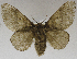  ( - USNM ENT 01374022)  @14 [ ] Unspecified (default): All Rights Reserved  Unspecified Unspecified