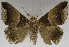  ( - USNM ENT 01374024)  @11 [ ] Unspecified (default): All Rights Reserved  Unspecified Unspecified
