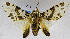  ( - USNM ENT 01374057)  @11 [ ] Unspecified (default): All Rights Reserved  Unspecified Unspecified