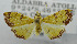  ( - USNM ENT 01067048)  @11 [ ] Unspecified (default): All Rights Reserved  Unspecified Unspecified