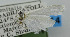  (Scirpophaga occidentella - USNM ENT 01067062)  @11 [ ] Unspecified (default): All Rights Reserved  Unspecified Unspecified