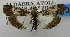  (Noorda - USNM ENT 01067097)  @14 [ ] Unspecified (default): All Rights Reserved  Unspecified Unspecified