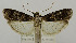  ( - USNM ENT 01067123)  @14 [ ] Unspecified (default): All Rights Reserved  Unspecified Unspecified