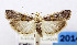  ( - USNM ENT 01067130)  @14 [ ] Unspecified (default): All Rights Reserved  Unspecified Unspecified