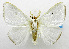  ( - USNM ENT 01067339)  @14 [ ] Unspecified (default): All Rights Reserved  Unspecified Unspecified