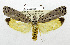  ( - USNM ENT 01067479)  @11 [ ] Unspecified (default): All Rights Reserved  Unspecified Unspecified