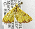  ( - USNM ENT 01067617)  @14 [ ] Unspecified (default): All Rights Reserved  Unspecified Unspecified