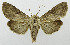  ( - USNM ENT 01068192)  @13 [ ] Unspecified (default): All Rights Reserved  Unspecified Unspecified