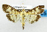  ( - USNM ENT 01068299)  @14 [ ] Unspecified (default): All Rights Reserved  Unspecified Unspecified