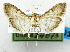  ( - USNM ENT 01068309)  @12 [ ] Unspecified (default): All Rights Reserved  Unspecified Unspecified