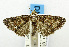  ( - USNM ENT 01068389)  @13 [ ] Unspecified (default): All Rights Reserved  Unspecified Unspecified