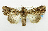  ( - USNM ENT 01068393)  @14 [ ] Unspecified (default): All Rights Reserved  Unspecified Unspecified