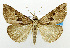  ( - USNM ENT 01068398)  @11 [ ] Unspecified (default): All Rights Reserved  Unspecified Unspecified