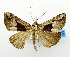  ( - USNM ENT 01068399)  @11 [ ] Unspecified (default): All Rights Reserved  Unspecified Unspecified