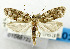  ( - USNM ENT 01068722)  @11 [ ] Unspecified (default): All Rights Reserved  Unspecified Unspecified