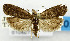 ( - USNM ENT 01068732)  @11 [ ] Unspecified (default): All Rights Reserved  Unspecified Unspecified