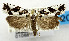  ( - USNM ENT 01068734)  @11 [ ] Unspecified (default): All Rights Reserved  Unspecified Unspecified