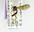  ( - USNM ENT 01068751)  @11 [ ] Unspecified (default): All Rights Reserved  Unspecified Unspecified