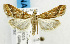  ( - USNM ENT 01068932)  @14 [ ] Unspecified (default): All Rights Reserved  Unspecified Unspecified