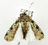  ( - USNM ENT 01068933)  @13 [ ] Unspecified (default): All Rights Reserved  Unspecified Unspecified