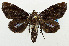 ( - USNM ENT 01069000)  @13 [ ] Unspecified (default): All Rights Reserved  Unspecified Unspecified
