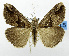  ( - USNM ENT 01069020)  @11 [ ] Unspecified (default): All Rights Reserved  Unspecified Unspecified
