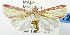  ( - USNM ENT 01069031)  @13 [ ] Unspecified (default): All Rights Reserved  Unspecified Unspecified