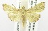  ( - USNM ENT 00192298)  @12 [ ] Unspecified (default): All Rights Reserved  Unspecified Unspecified