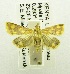  ( - USNM ENT 00193113)  @13 [ ] Unspecified (default): All Rights Reserved  Unspecified Unspecified