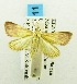  ( - USNM ENT 00194768)  @12 [ ] Unspecified (default): All Rights Reserved  Unspecified Unspecified