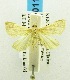  ( - USNM ENT 00195017)  @12 [ ] Unspecified (default): All Rights Reserved  Unspecified Unspecified