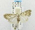  ( - USNM ENT 00195130)  @13 [ ] Unspecified (default): All Rights Reserved  Unspecified Unspecified