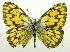  ( - USNM ENT 00195194)  @14 [ ] Unspecified (default): All Rights Reserved  Unspecified Unspecified