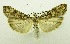  ( - USNM ENT 00195207)  @13 [ ] Unspecified (default): All Rights Reserved  Unspecified Unspecified