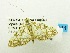  ( - USNM ENT 00195459)  @13 [ ] Unspecified (default): All Rights Reserved  Unspecified Unspecified